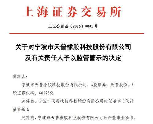 AI軟件開發(fā)公司突遭證監(jiān)會(huì)立案調(diào)查，行業(yè)監(jiān)管風(fēng)暴或?qū)㈤_啟