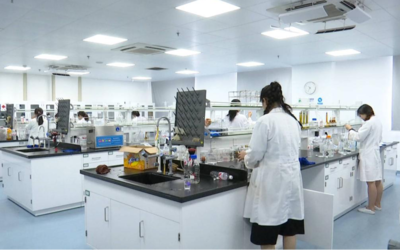 江蘇海門 以創新驅動促融合發展，全力駛入長三角一體化“快車道”